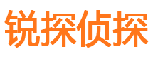 浦东市侦探公司